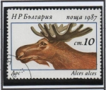 Stamps Bulgaria -  Alces