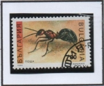 Stamps Bulgaria -  Hormiga