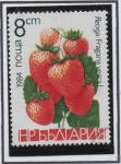 Sellos de Africa - Bulgaria -  Frutas: Fresas