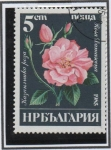 Stamps Bulgaria -  Rosas Damacena