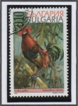 Stamps Bulgaria -  Gallos: Bankivski