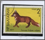 Stamps Bulgaria -  Zorro Rojo