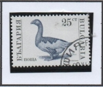 Stamps Bulgaria -  Animales d' Granja: Ganso