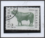 Stamps Bulgaria -  Animales d' Granja: buey
