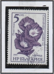 Sellos de Europa - Bulgaria -  Flores: Convolvulus Tricolor