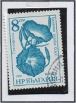 Stamps Bulgaria -  Flores: Ipomoea Tricolor
