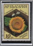 Stamps Bulgaria -  Abejas y Plantas: Helianthus
