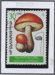 Stamps Bulgaria -  Hongos: Leccinun