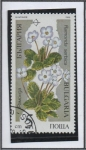 Stamps Bulgaria -  Plantas en peligro: Ramonda Serbica