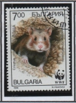 Stamps Bulgaria -  Criscetus: En Madriguera