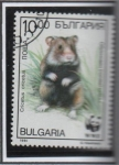 Stamps Bulgaria -  Criscetus: d' Pie