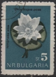 Stamps Bulgaria -  Flores: Nenúfar