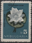 Sellos de Europa - Bulgaria -  Flores: Nenúfar
