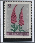 Stamps Bulgaria -  Flores:  Dedalera