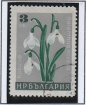 Stamps Bulgaria -  Flores:  Campanilla d' Febrero