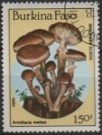 Stamps Burkina Faso -  Hongos: Amillaria mellea