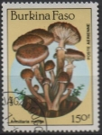 Stamps Burkina Faso -  Hongos: Amillaria mellea