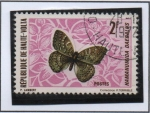 Stamps Burkina Faso -  Mariposas: Hamanumida daedalus