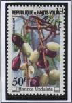 Stamps Burkina Faso -  Frutos: Hannoa Undulata