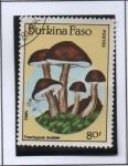 Stamps Burkina Faso -  Hongos: Trachypus scaber