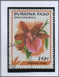 Sellos de Africa - Burkina Faso -  Orquideas