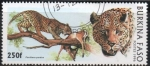 Stamps Burkina Faso -  Tigre