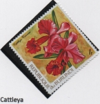 Stamps Burundi -  Orquideas: Cattleya