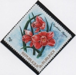 Stamps : Africa : Burundi :  Orquideas: Cibidiunm