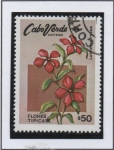 Stamps Cape Verde -  Flores: Lochnera Rosea