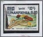 Sellos de Asia - Camboya -  Hongos: Gymnopilus