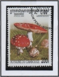 Stamps Cambodia -  Hongos: Amanita muscate