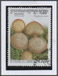 Stamps Cambodia -  Hongos: Scleroderma