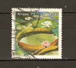 Stamps : America : Brazil :  Lirio acuático