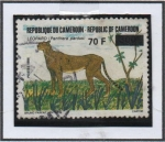 Stamps Cameroon -  Guepardo