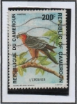 Stamps Cameroon -  Leoervier