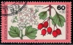 Stamps : Europe : Germany :  "Por el bienestar" espino blanco, Crataegus.