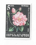 Stamps Bulgaria -  Rosa Damascana