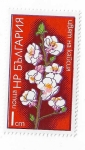 Stamps Bulgaria -  Flor del albaricoquero