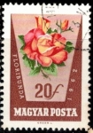 Sellos de Europa - Hungr�a -  Rosas en colores naturales. 