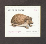 Stamps Austria -  Erinaceus concolor