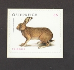 Stamps Austria -  Liebre de campo