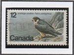 Sellos de America - Canad� -  Halcon Peregrino