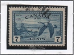 Stamps Canada -  Gansos d' Canadá