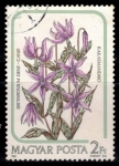 Stamps Hungary -  Flores.Erythronium dens canis(diente de perro).