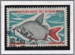 Stamps Chad -  Peces: Citharinus Latus