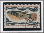 Stamps Chad -  Peces: Tetraodon Fahaka 