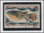 Sellos de Africa - Chad -  Peces: Tetraodon Fahaka 