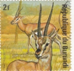 Stamps Burundi -  Fauna