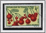 Stamps Chad -  Flores: Parkia biglobosa