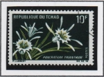 Sellos de Africa - Chad -  Flores: Pancratium Trianthum